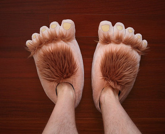 Furry Adventure Slippers