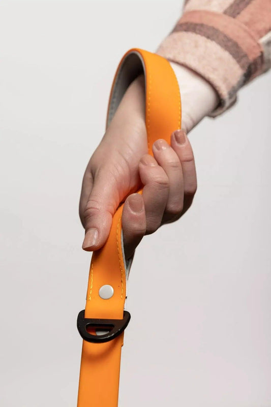 Crimson Winter Hat with Pom & Waterproof Leash