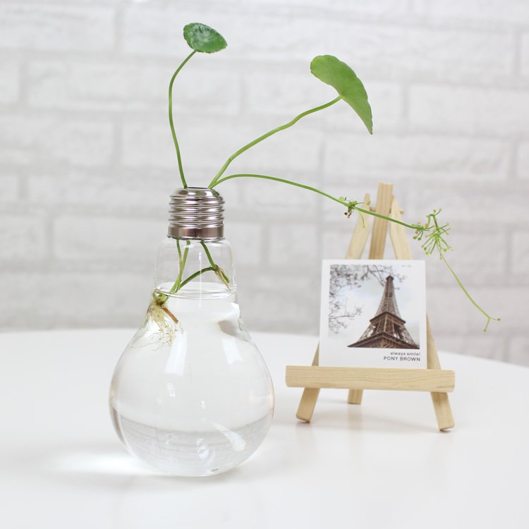 Bulb Flower pots