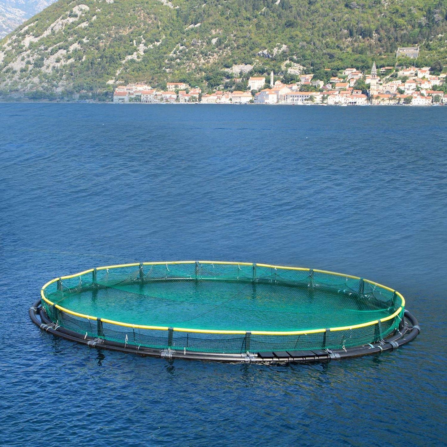 13 x 33ft Garden Netting Heavy Duty PE Anti Bird Netting Plants Fruits