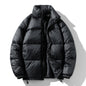 Pine Solid Color Stand Collar Winter Men's Cotton Jacket Fashionable Jacket