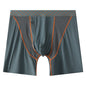 Men's Boxers Transparent Mesh Shorts
