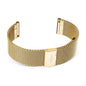 Gold Mesh Strap