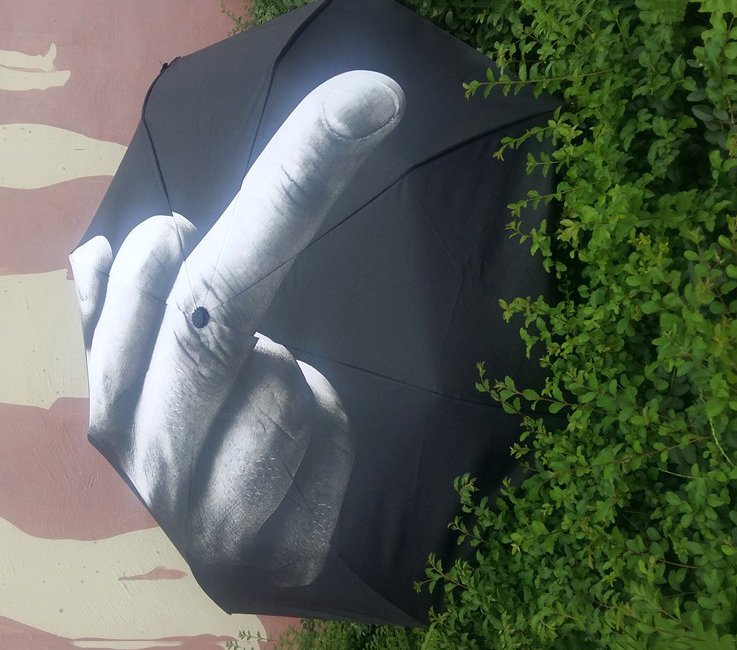 F*ck The Rain Umbrella