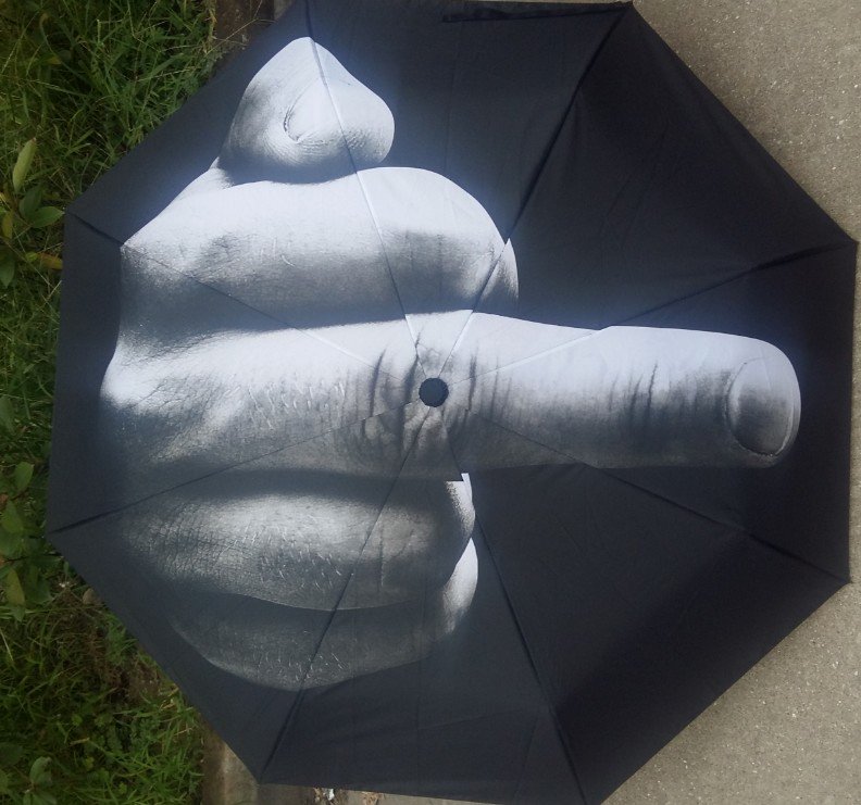 F*ck The Rain Umbrella