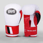 Professional Boxing Gloves
