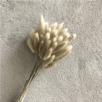 Elegant Dried Bunny Tail Bundle - 16 Inches