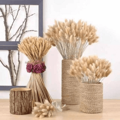 Elegant Dried Bunny Tail Bundle - 16 Inches