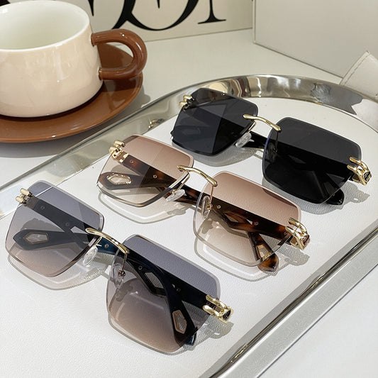 Trendy Trimming Sunglasses