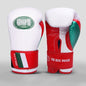 Professional Boxing Gloves