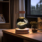 Crystal Ball Cosmic Indoor Night Light USB Power  Bedside Light