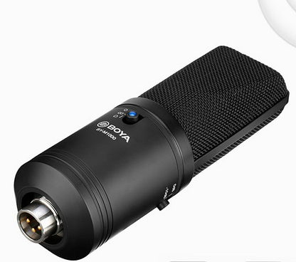 Condenser Mic Big Diaphragm K Music PC Phone Recording Mic