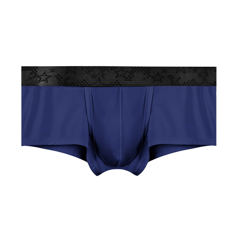 Spermatic Vein Underwear Ice Silk Summer Thin Boys Boyshorts