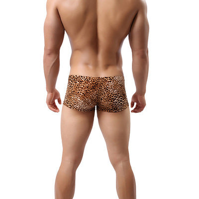 Leopard Print Boxers