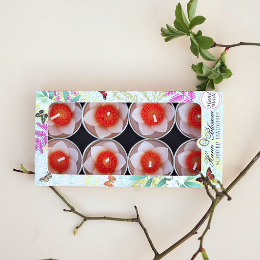 Daffodil Scented Tealights