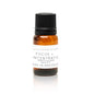 Focus + Concentration Essential Oil Blend