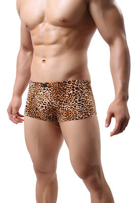 Leopard Print Boxers