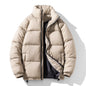 Pine Solid Color Stand Collar Winter Men's Cotton Jacket Fashionable Jacket