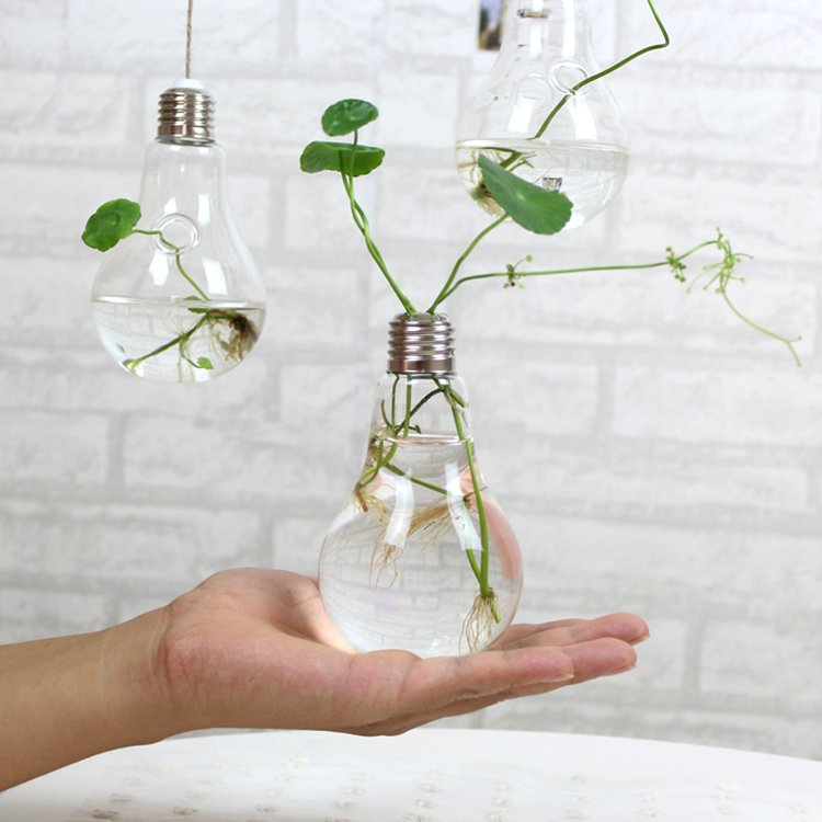 Bulb Flower pots