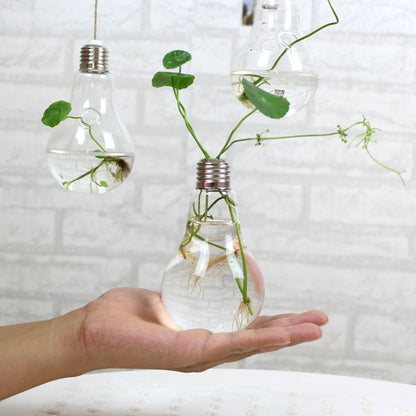 Bulb Flower pots