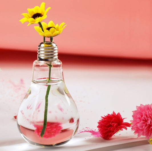 Bulb Flower pots