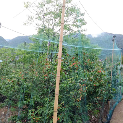 13 x 33ft Garden Netting Heavy Duty PE Anti Bird Netting Plants Fruits