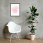 Cotton Candy Dreams Framed poster