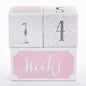 My First Milestone Little Princess Baby Age Blocks